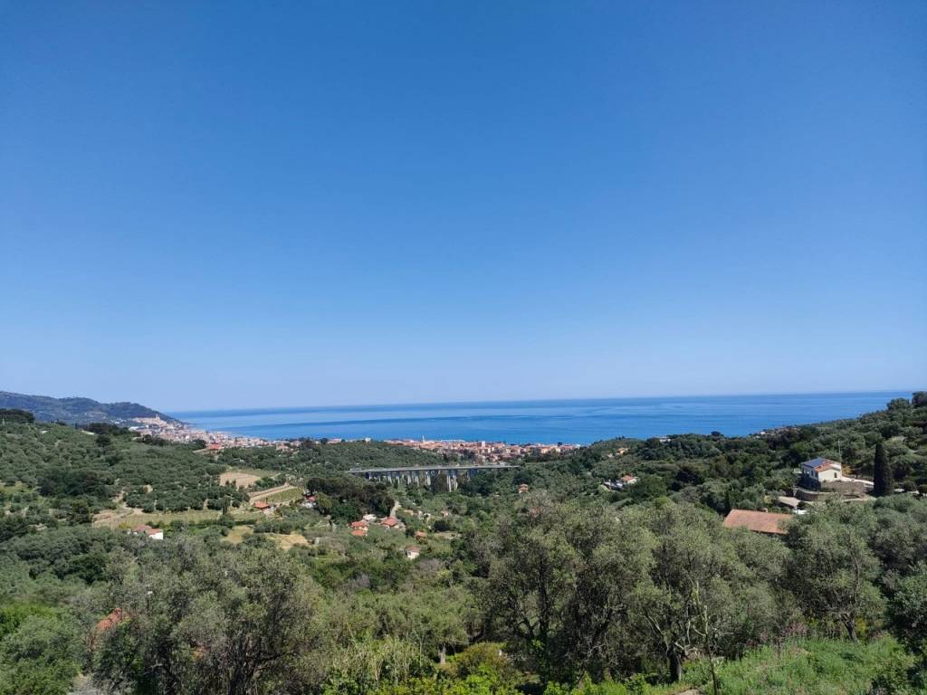 terreno agricolo in vendita a Diano Marina in zona Gorleri