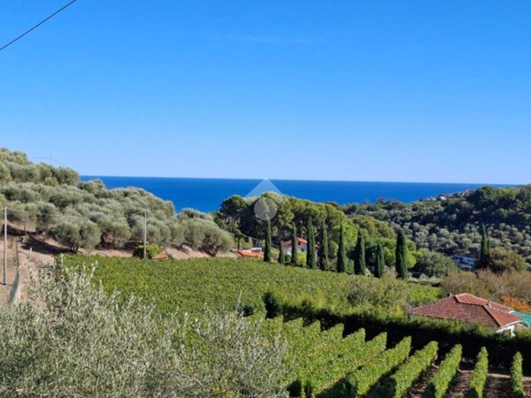 casa indipendente in vendita a Diano Marina in zona Serreta
