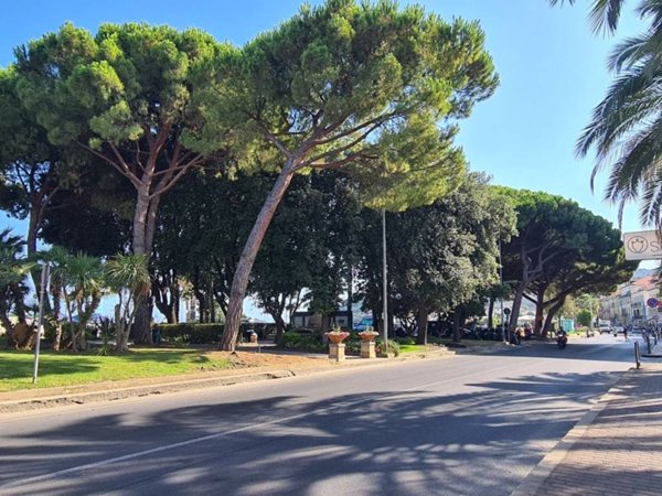 negozio in vendita a Diano Marina