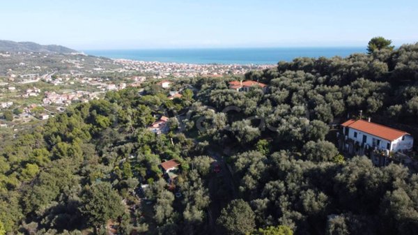 terreno agricolo in vendita a Diano Marina in zona Muratori