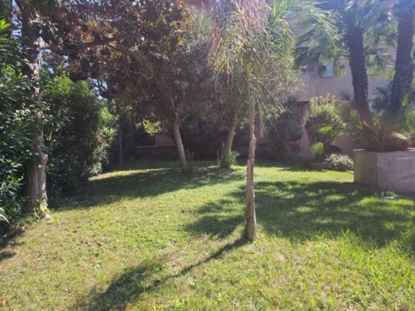 immagine annuncio 0 di 5