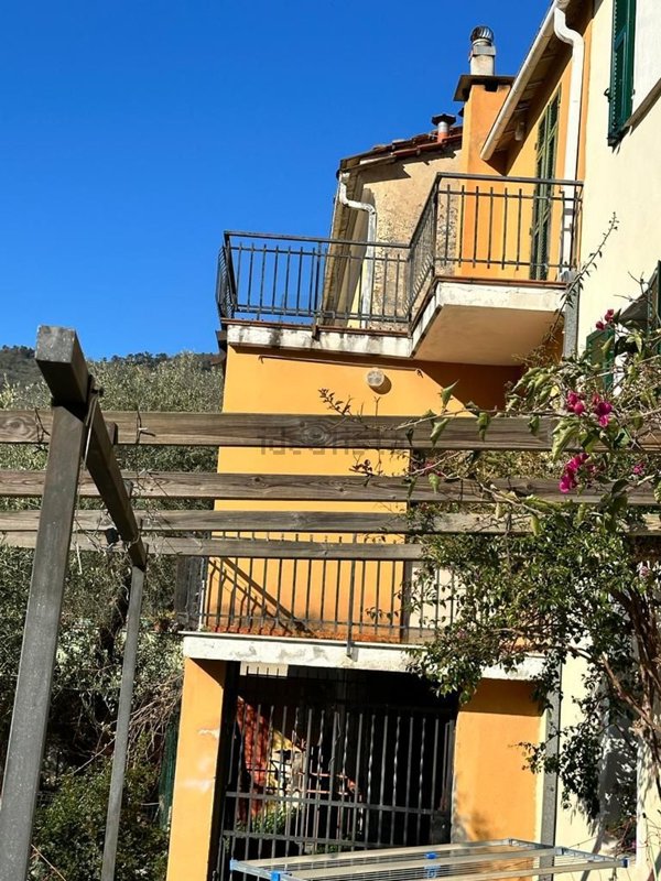 pentavano in vendita a Diano San Pietro in zona Roncagli