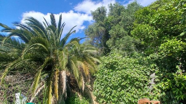 casa indipendente in vendita a Diano San Pietro