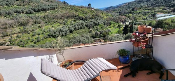 casa indipendente in vendita a Diano San Pietro in zona Roncagli