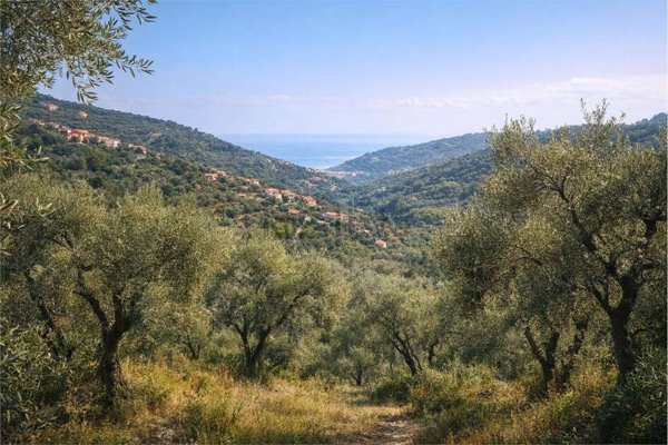 immagine annuncio 0 di 1