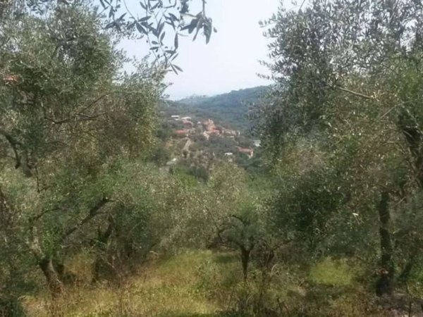 terreno agricolo in vendita a Diano San Pietro