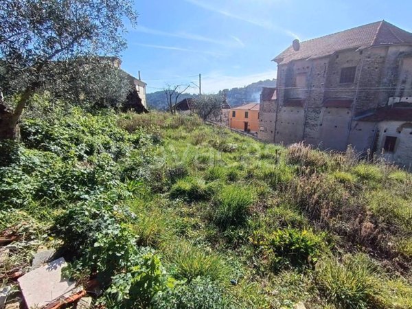terreno agricolo in vendita a Diano San Pietro
