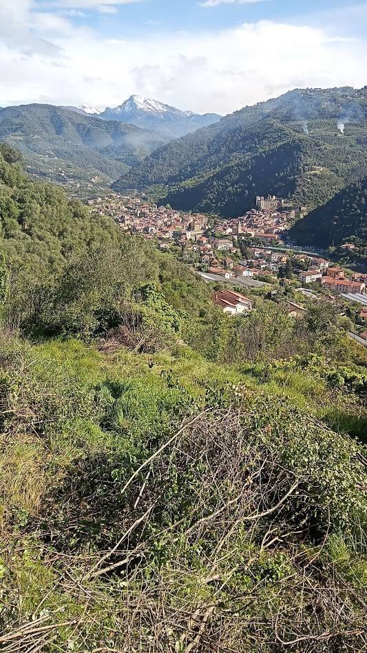 terreno agricolo in vendita a Dolceacqua