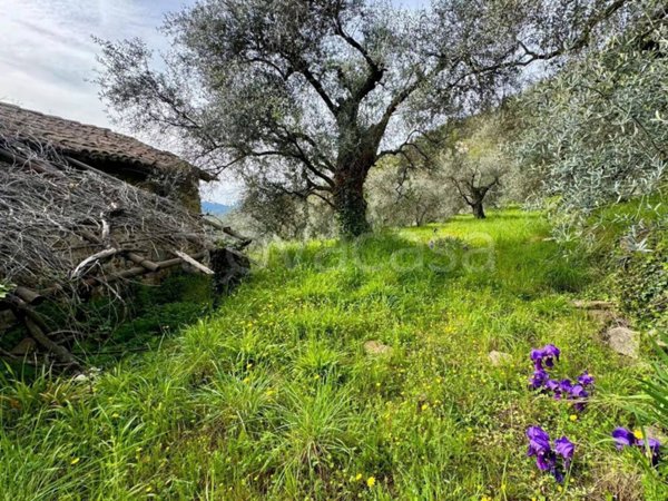 casa indipendente in vendita a Dolceacqua