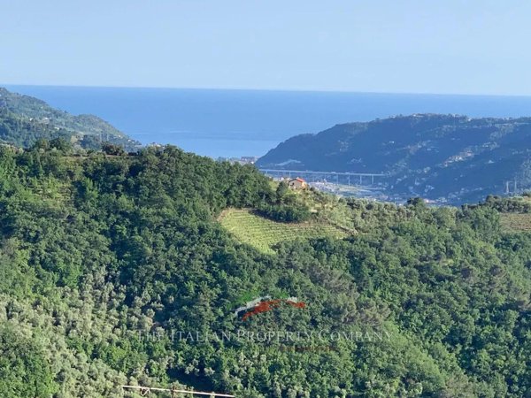 casa indipendente in vendita a Dolceacqua