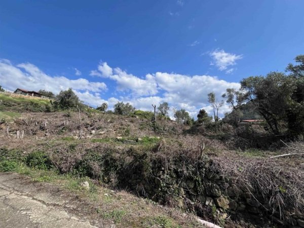 terreno agricolo in vendita a Dolceacqua