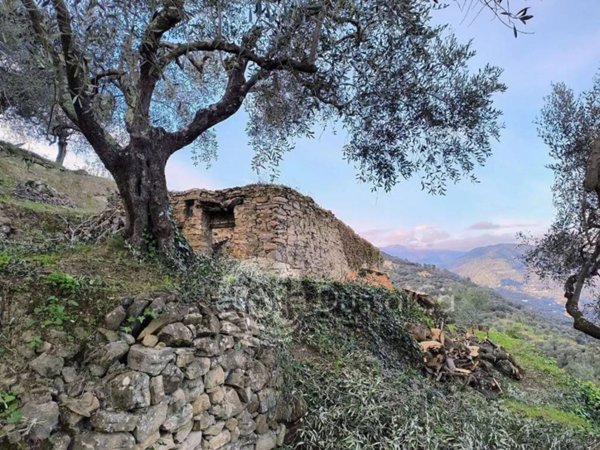 casa indipendente in vendita a Dolceacqua