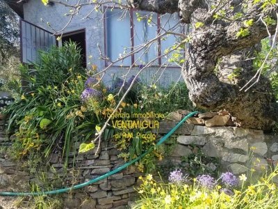 terreno agricolo in vendita a Dolceacqua