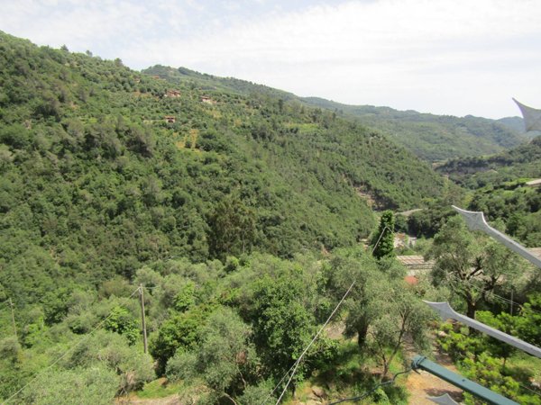 appartamento in vendita a Dolceacqua