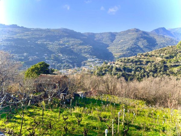 terreno agricolo in vendita a Dolceacqua