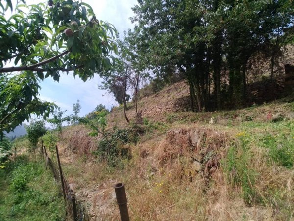 terreno agricolo in vendita a Dolceacqua