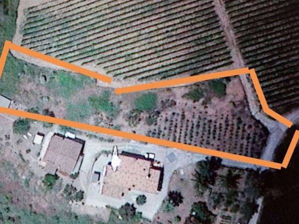 terreno agricolo in vendita a Dolceacqua