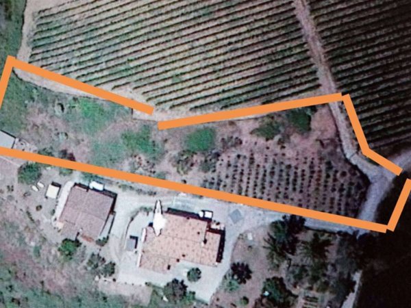 terreno agricolo in vendita a Dolceacqua