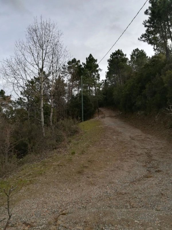 appartamento in vendita a Dolceacqua