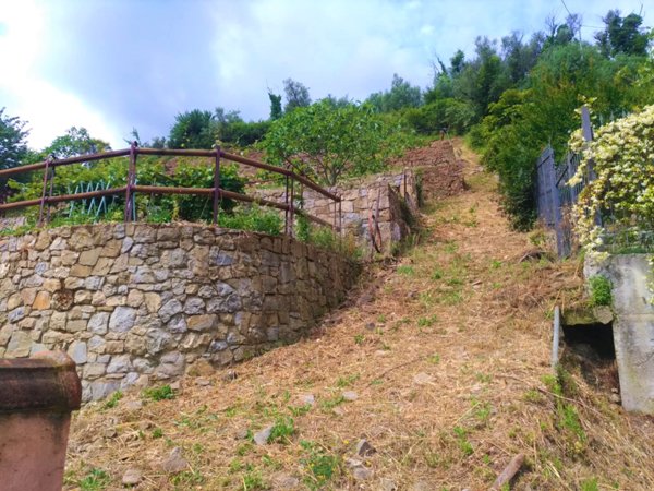 casa indipendente in vendita a Dolceacqua