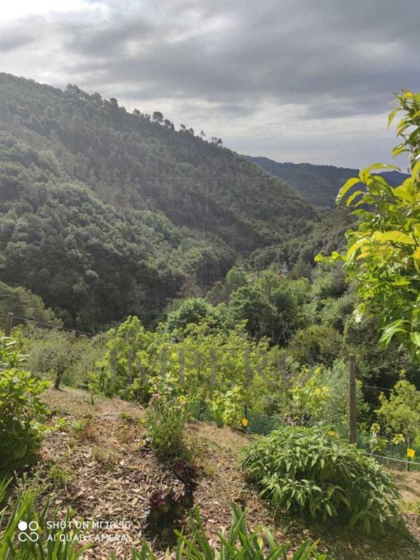 casa indipendente in vendita a Dolceacqua