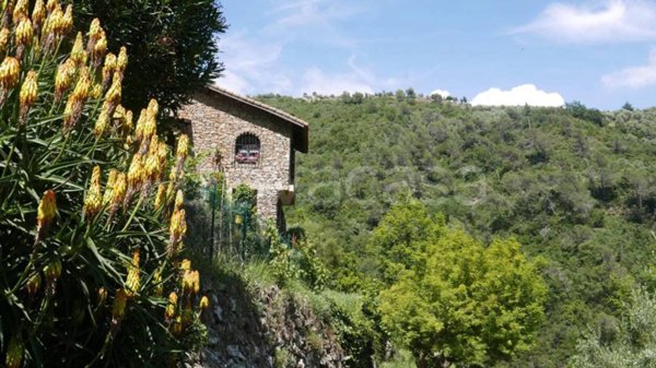 casa indipendente in vendita a Dolceacqua