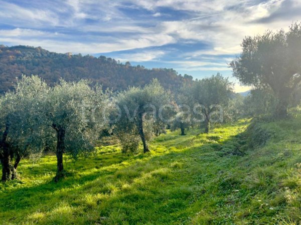 terreno agricolo in vendita a Dolceacqua