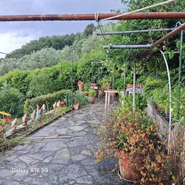 casa indipendente in vendita a Dolceacqua