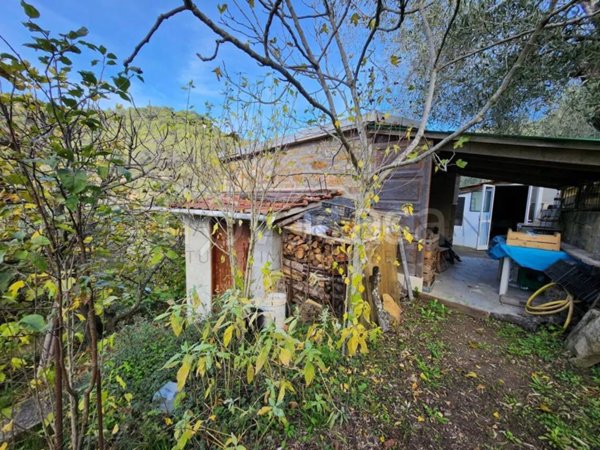 terreno agricolo in vendita a Dolceacqua