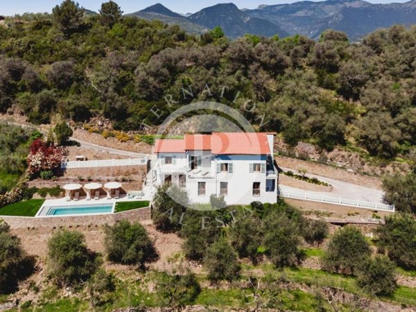 casa indipendente in vendita a Dolceacqua
