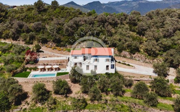 casa indipendente in vendita a Dolceacqua