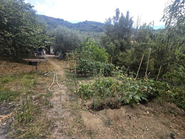 appartamento in vendita a Dolceacqua