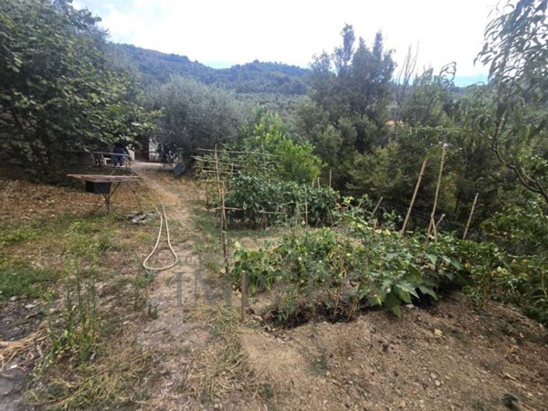 casa indipendente in vendita a Dolceacqua