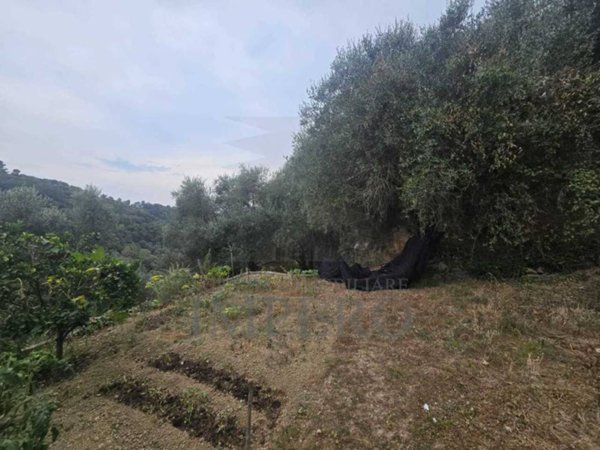 casa indipendente in vendita a Dolceacqua