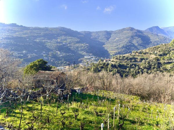 casale in vendita a Dolceacqua