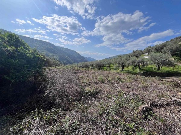 casa indipendente in vendita a Dolceacqua