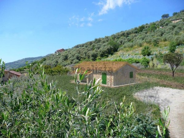 casa indipendente in vendita a Dolceacqua