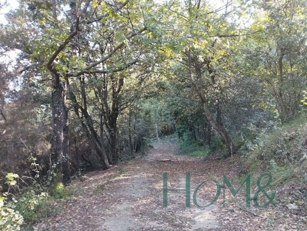 appartamento in vendita a Dolceacqua