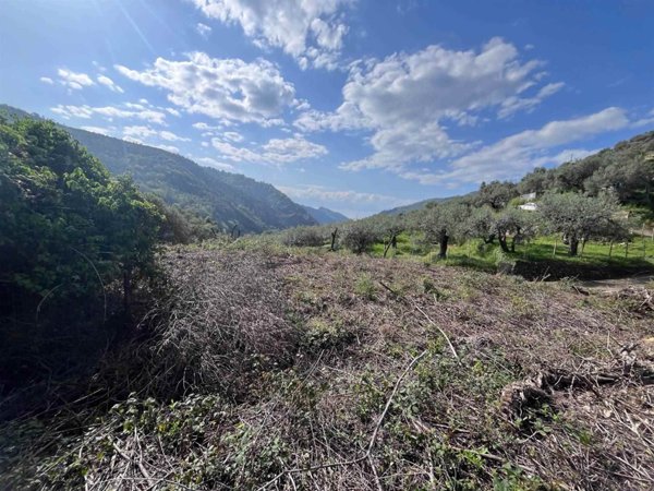casa indipendente in vendita a Dolceacqua