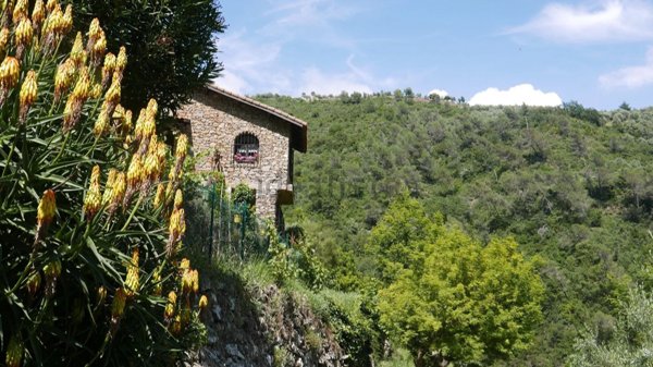 casa indipendente in vendita a Dolceacqua