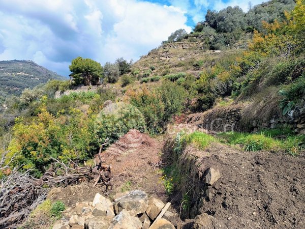 casa indipendente in vendita a Dolceacqua