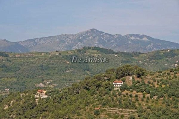 terreno agricolo in vendita a Dolceacqua