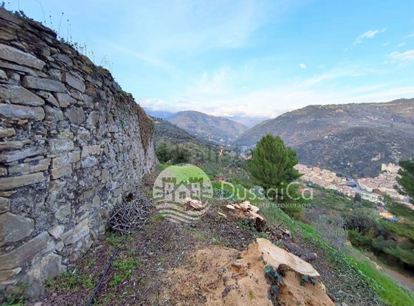 casa indipendente in vendita a Dolceacqua
