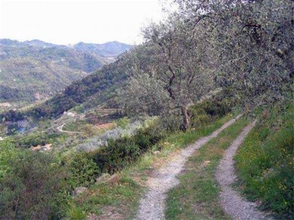 casa indipendente in vendita a Dolceacqua