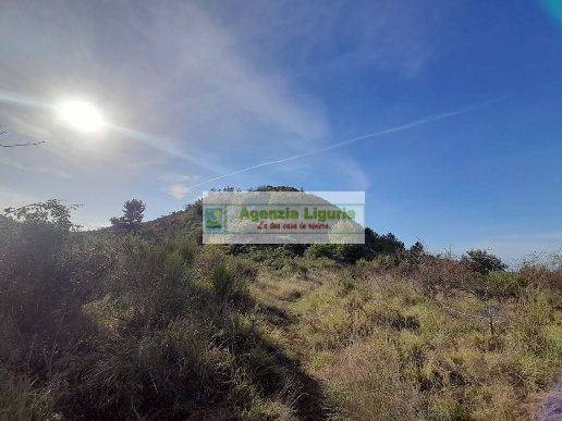 casale in vendita a Dolceacqua
