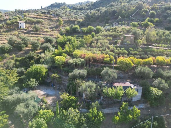 casa indipendente in vendita a Dolceacqua