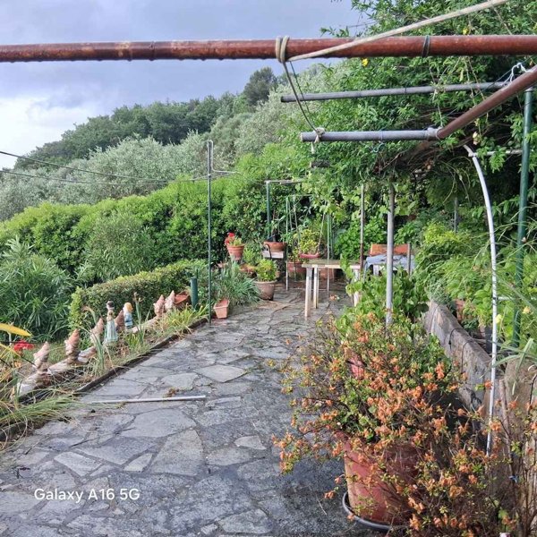 casa indipendente in vendita a Dolceacqua