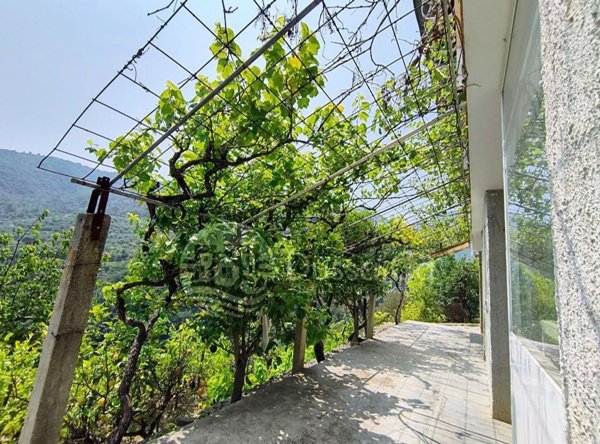 casa indipendente in vendita a Dolceacqua