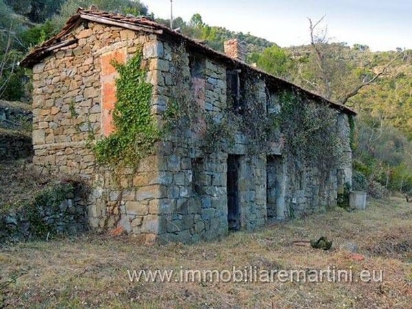 esavano in vendita a Dolceacqua
