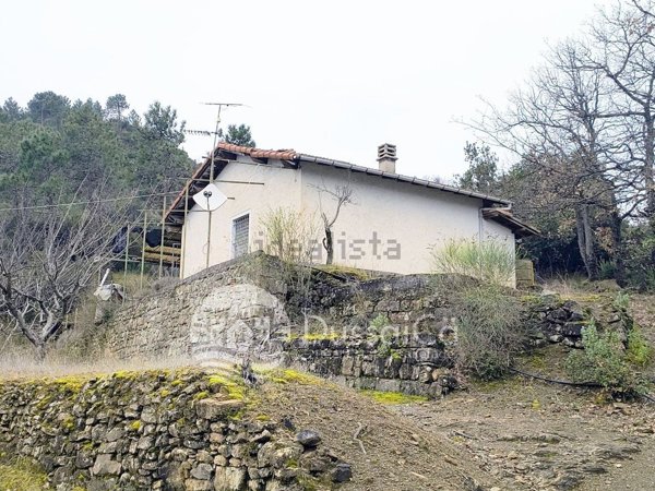casa indipendente in vendita a Dolceacqua